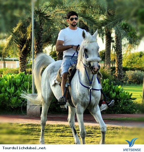 Ngắm nhìn hoàng tử Dubai chuẩn soái ca - Ảnh 6 Ngắm nhìn hoàng tử Dubai chuẩn soái ca - Ảnh 6