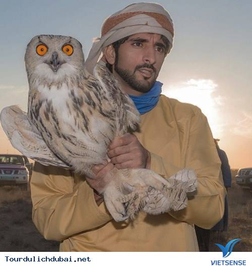 Ngắm nhìn hoàng tử Dubai chuẩn soái ca - Ảnh 5 Ngắm nhìn hoàng tử Dubai chuẩn soái ca - Ảnh 5