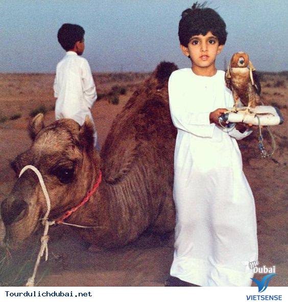 Ngắm nhìn hoàng tử Dubai chuẩn soái ca - Ảnh 4 Ngắm nhìn hoàng tử Dubai chuẩn soái ca - Ảnh 4