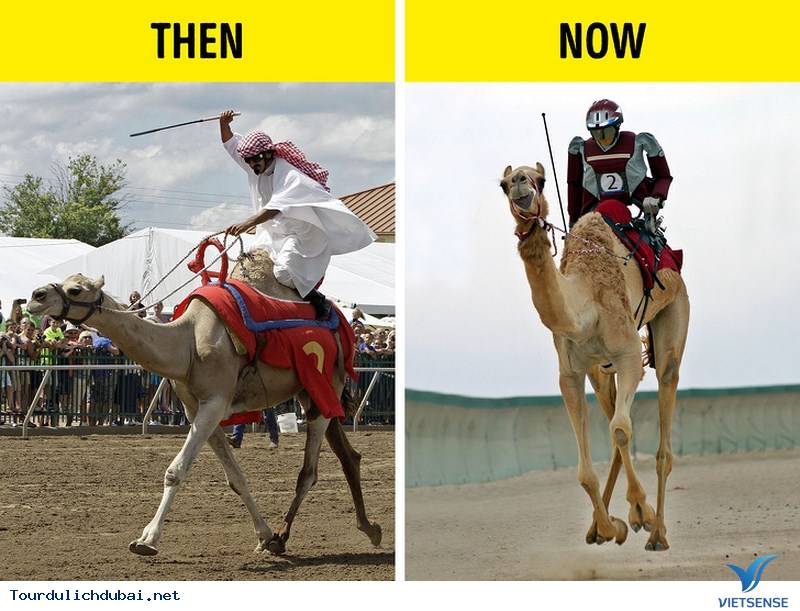 Rô-bốt ở Dubai có thể tham gia đua lạc đà Rô-bốt ở Dubai có thể tham gia đua lạc đà