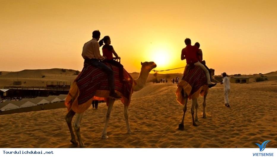 Thám hiểm sa mạc Thám hiểm sa mạc