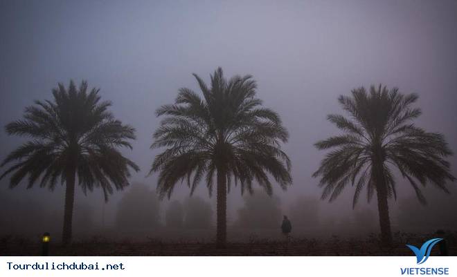 Thưởng ngoạn sương mù huyền ảo trên tòa nhà chọc trời ở Dubai - Ảnh 8 Thưởng ngoạn sương mù huyền ảo trên tòa nhà chọc trời ở Dubai - Ảnh 8