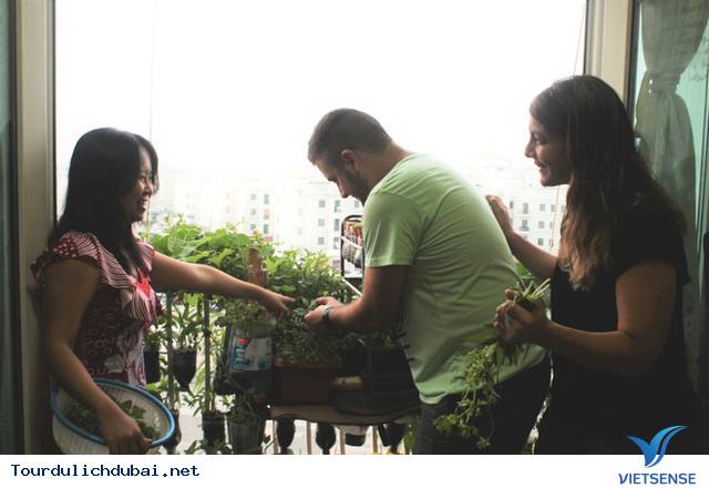 Vườn rau xanh tại Dubai của kỹ sư Việt Nam - Ảnh 8 Vườn rau xanh tại Dubai của kỹ sư Việt Nam - Ảnh 8